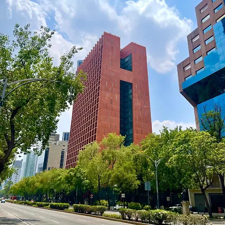 Huge Luxury Apartment In Reforma 27