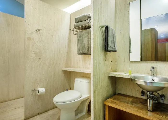 Huge Luxury In Reforma 27