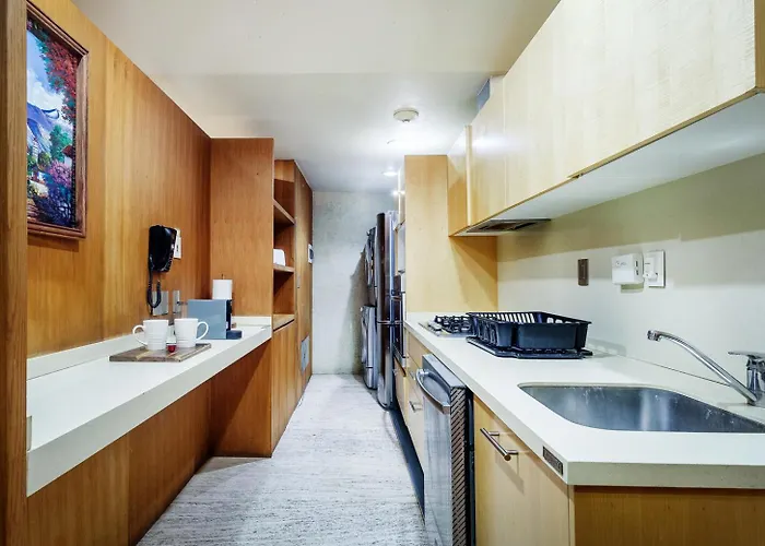 Apartment Huge Luxury In Reforma 27